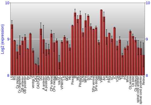 Expression graph