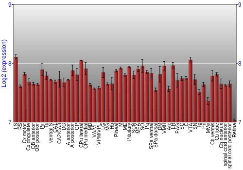 Expression graph