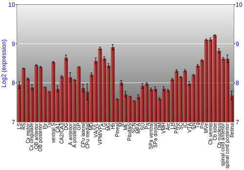 Expression graph