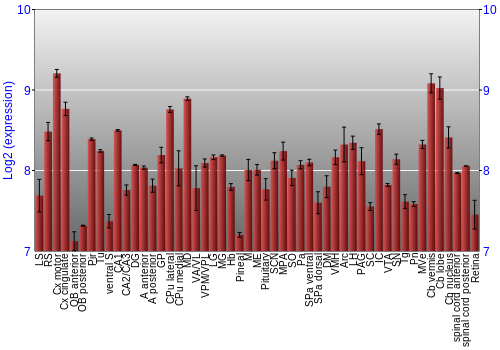 Expression graph