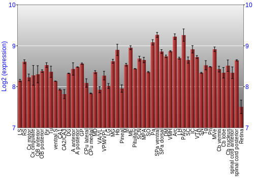 Expression graph
