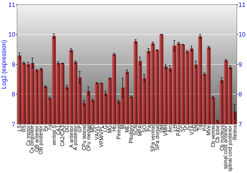 Expression graph