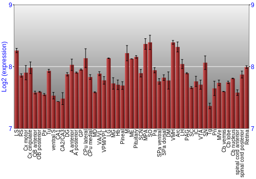 Expression graph