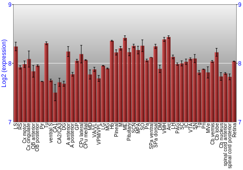 Expression graph