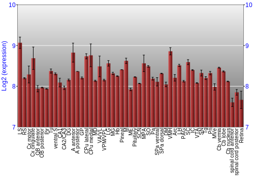 Expression graph