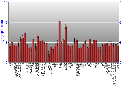 Expression graph