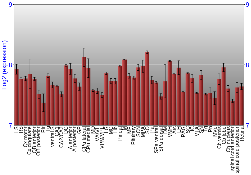 Expression graph