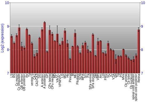 Expression graph