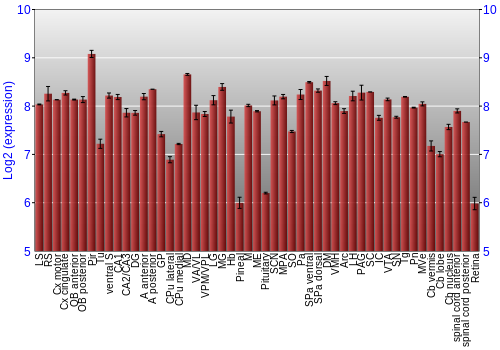 Expression graph