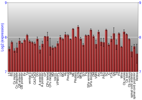 Expression graph
