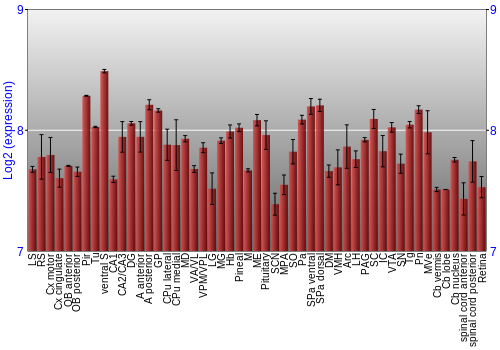 Expression graph