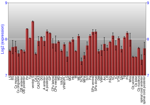 Multi-state expression graph