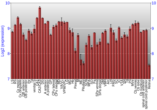Expression graph