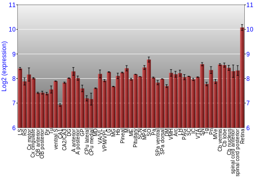 Expression graph