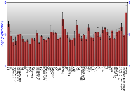 Expression graph