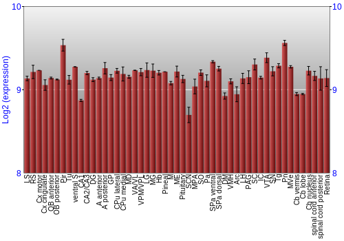 Expression graph