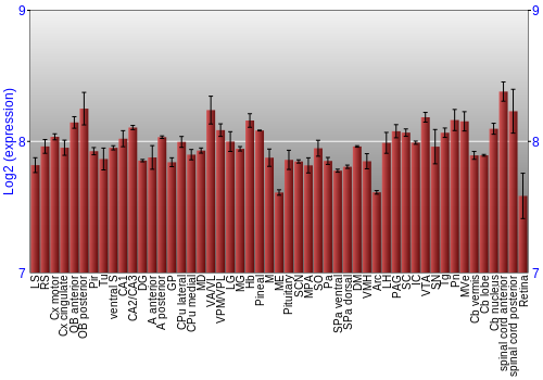 Expression graph