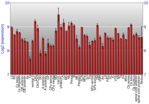 Expression graph