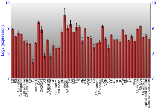 Multi-state expression graph