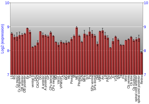 Expression graph