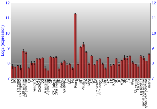 Expression graph