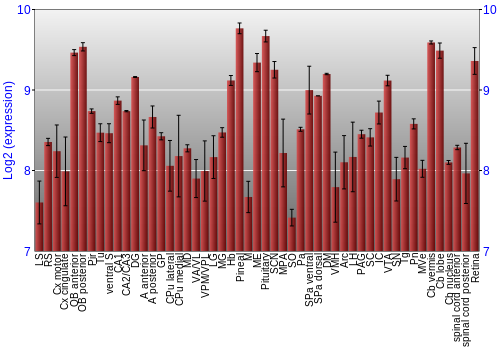 Expression graph