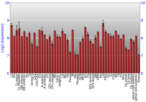 Expression graph