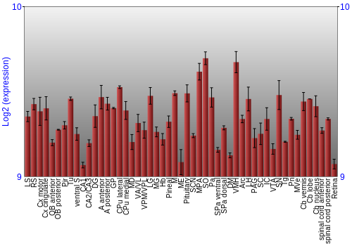 Expression graph