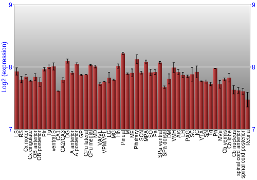 Expression graph