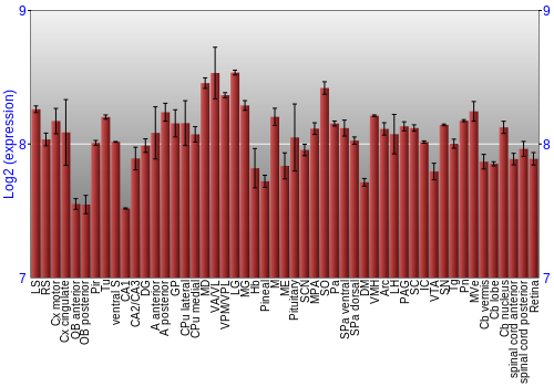 Expression graph