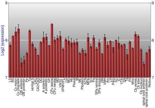 Expression graph
