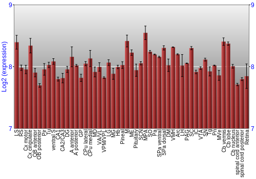 Expression graph