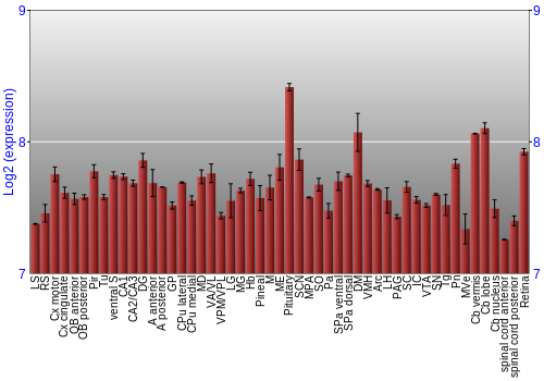 Expression graph