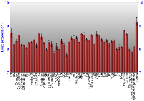 Expression graph