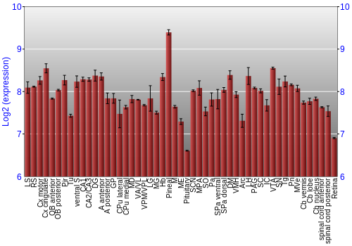 Expression graph