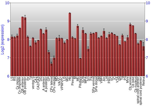 Expression graph
