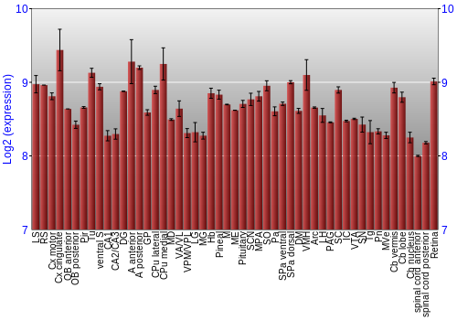 Expression graph