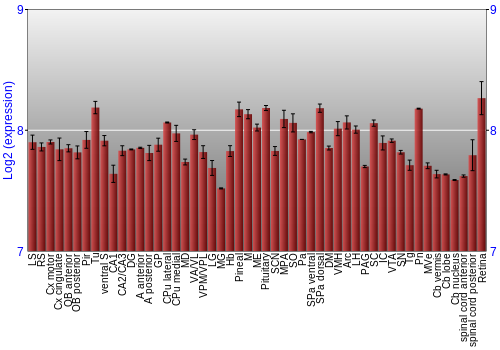 Expression graph