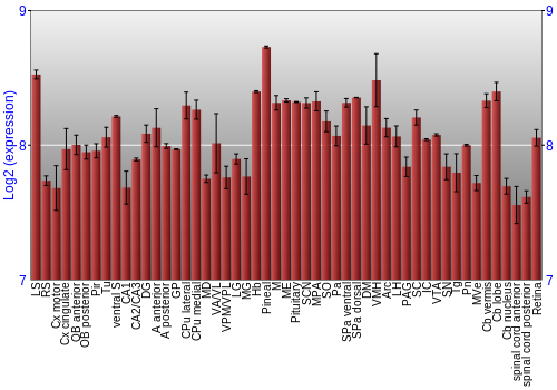 Expression graph