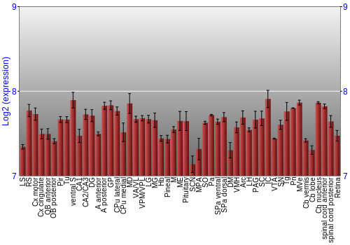 Expression graph