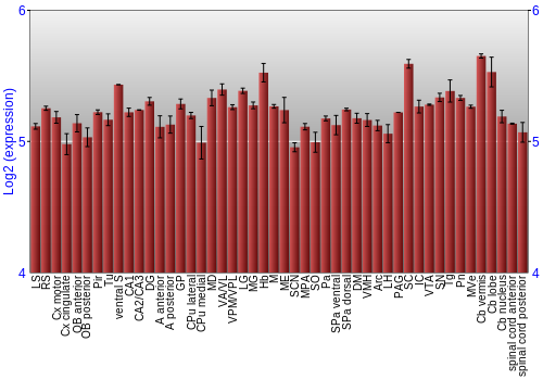 Multi-state expression graph