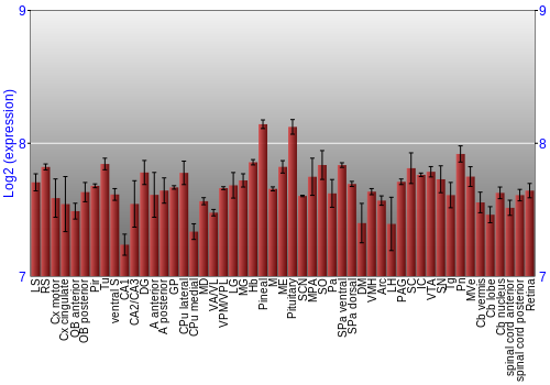 Expression graph