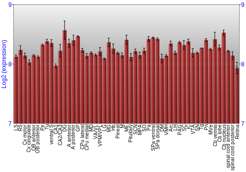 Expression graph
