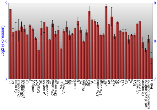 Expression graph