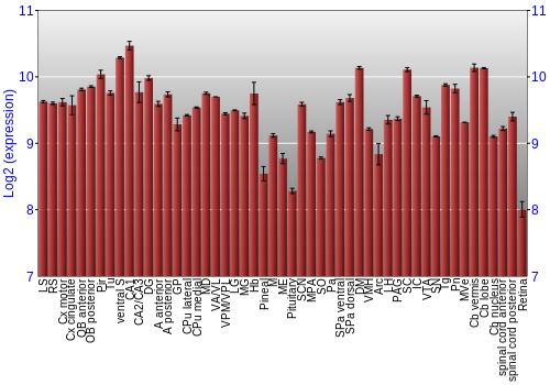 Expression graph