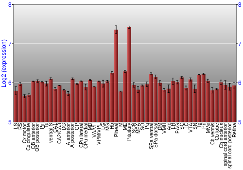 Expression graph