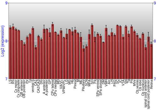 Expression graph