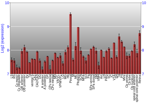 Expression graph