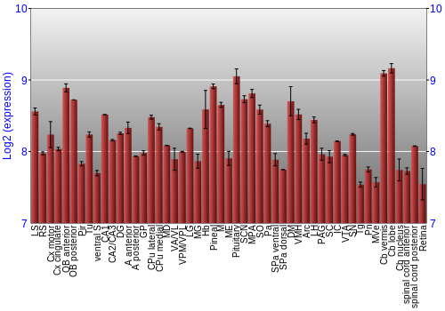 Expression graph