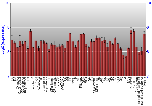 Expression graph